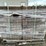 #4958-•-pallet-of-bricks-image-6