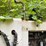 prentice-410d-image-24