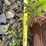 2008-deere-748g-iii-image-17