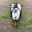 #4924-•-fimco-30-gallon-pull-type-sprayer-image-2
