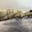 #1507-•-weatherby-vanguard-bolt-action-rifle,-sn:-vb417081-(arcadia,-wi)-image-2