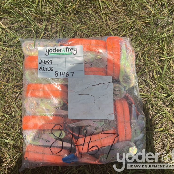 Unused 2026 Onshine Tie Down Straps and Ratchet Straps, 1" x 11.5', 10 Pieces