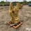 2023-caterpillar-307-image-3