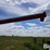 buhler-farm-king-846-image-10