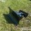 unused-sdlanch-snow-blade-to-suit-skidsteer-image-2