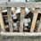 #4928-•-wooden-tote-with-assorted-wooden-blocks-image-4