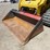 caterpillar-289d3-image-9