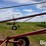 buhler-farm-king-846-image-8