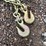 #4933-•-(4)-1/4"-chains-with-hooks-image-4