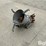 shivvers-electric-grain-spreader-image-5