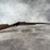 #1312-•-winchester-model-1885,-6mm-creedmoor-semi-auto-rifle,-sn:-00013zp85k,-(neenah,-wi)-image-1