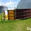 cattle-sorting-tub-w/10'-gate-image-5