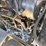 wacker-neuson-wl32-image-43