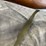 #1285-•-cai-georgia-vt-59/60a1,-7.62x39-semi-auto-rifle,-sn:-596610991,-(neenah,-wi)-image-22