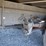 2017-ford-f650-image-10