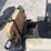 2007-ez-go-gas-cart-image-11