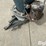 neco-electric-grain-spreader-image-11