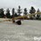 2004-westfield-wr80x31-image-8