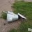 spread-all-110v-grain-spreader-image-8
