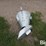 spread-all-110v-grain-spreader-image-6