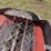 feterl-hydraulic-drive-8"x10'-truck-hopper-image-10