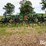 2013-john-deere-2410-image-6