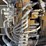 caterpillar-308e-cr-image-54