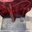 #1266-•-unused-sdlanch-iret13-electric-cargo-tricycle---middlefield,-oh-image-10