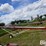 buhler-farm-king-846-image-4