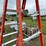 #4925-•-louisville-cross-x-step-10'-fiberglass-step-ladder-image-6