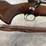 #1273-•-winchester-70-featherweight-,-243-win-bolt-action-rifle,-sn:-367405,-(neenah,-wi)-image-21