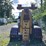 1979-peterbilt-359-image-5