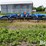 landoll-6230-26-image-6