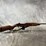 #1288-•-usa-cargin,-30-cal-semi-auto-rifle,-sn:-ma8911,-(neenah,-wi)-image-1