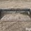 bobcat-80-image-2