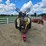 hardi-500-image-8