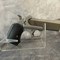 thunder-targets-&-sporting-goods-auction---oshkosh,-wi-image-3