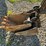 2003-bobcat-334d-image-37