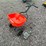 #4943-•-echo-rb-60-push-lawn-seeder/fertilizer-image-1
