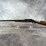 #1312-•-winchester-model-1885,-6mm-creedmoor-semi-auto-rifle,-sn:-00013zp85k,-(neenah,-wi)-image-2