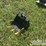 unused-sdlanch-40cm-toothed-bucket-to-suit-mini-excavator-image-2