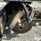 2022-great-bear-trencher-image-14