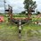 #4915-•-glencoe-field-cultivator-with-3-bar-harrow-image-2