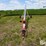 buhler-farm-king-846-image-2