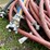 #4917-•-assorted-compressor-hoses-with-couplers-image-7