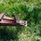 10'-cattle-panels-on-trailer-image-19