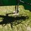 summers-mfg-ultimate-nt-image-9