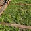 2016-john-deere-64-image-58