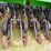 john-deere-750-image-20