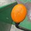 john-deere-5103-image-30